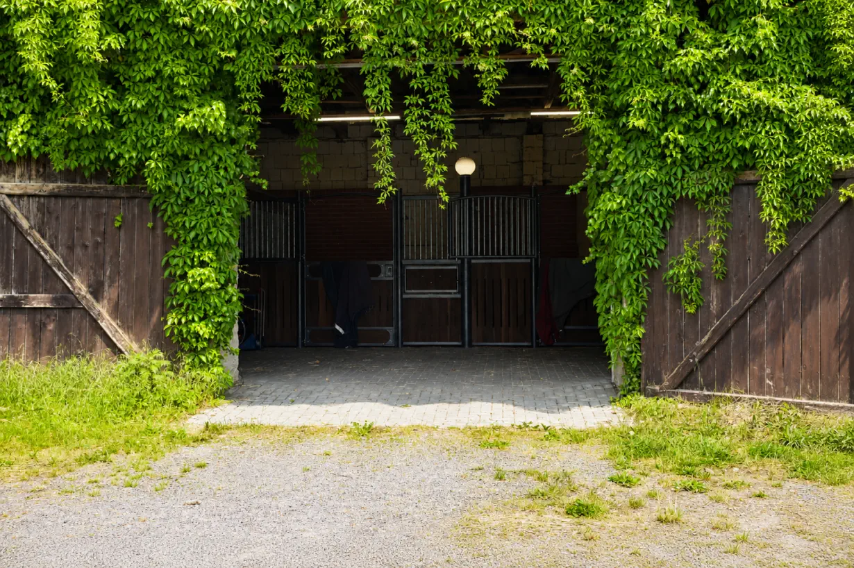 Pferdeunterbringung auf dem Landhof Groß Breese